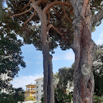 Photo n°6 de l'avis de Nicoletta.a fait le 14/08/2021 à 19:54 sur le  Albergo La Neigra à Sestri Levante