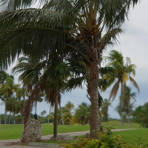 Public Golf Course «Crandon Golf at Key Biscayne», reviews and photos, 6700 Crandon Blvd, Key Biscayne, FL 33149, USA