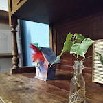 Photo n°4 de l'avis de Federica.u fait le 01/08/2021 à 21:24 sur le  Il Magazzino delle Scope à Lido di Jesolo