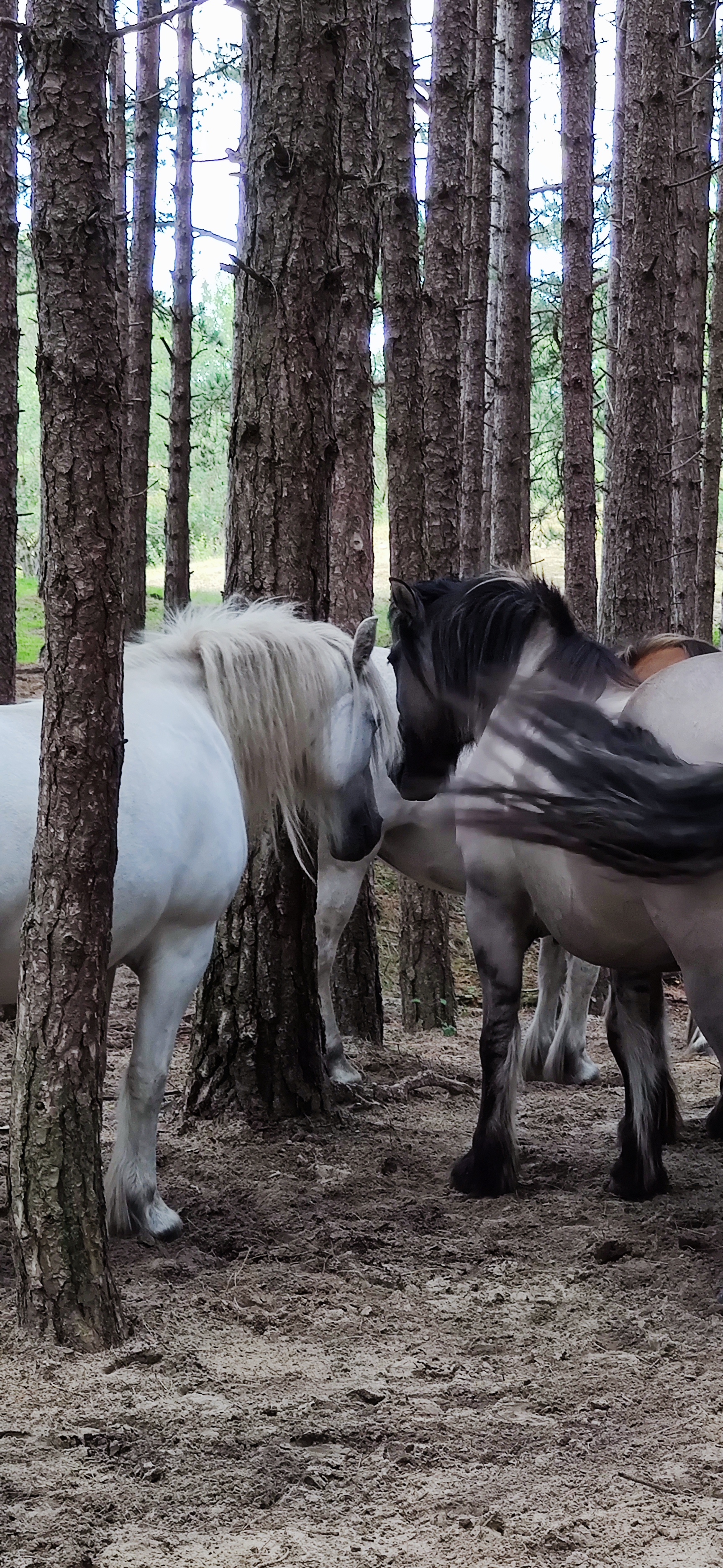 Photo n° 10 de l'avis de François.C fait le 17/09/2023 à 19:36
