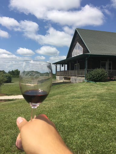Vineyard «Sunset Lake Vineyards and Winery», reviews and photos, 8644 E 2100 North Rd, Carlock, IL 61725, USA