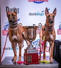 Bo Nose K9 Training, Daycare and Boarding - Photo 3 - Car repair in Cape Coral, FL, Cape Coral