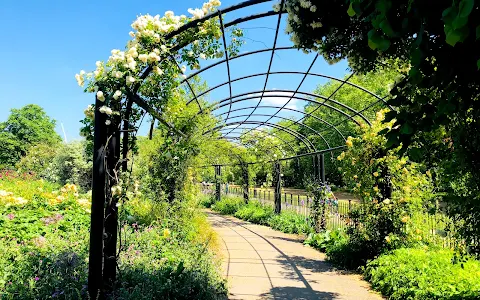 Hyde Park Rose Garden image