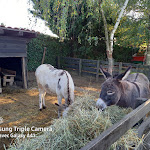Photo n°14 de l'avis de Patrice.o fait le 11/10/2020 à 13:53 sur le  Agriturismo La Camilla à Concorezzo
