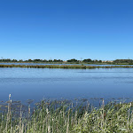 Photo n°1 de l'avis de Thomas.c fait le 12/07/2022 à 22:16 sur le  Ausflugsrestaurant & Pension & Hausfloßvermietung Aalbude à Dargun