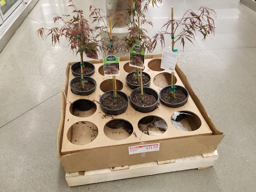 Supermarket «ALDI», reviews and photos, 8808 Belair Rd, Nottingham, MD 21236, USA