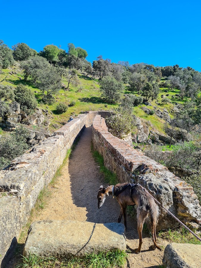 Ruta de los Molinos de Navalagamella