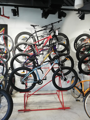 Opinii despre Atelierele Pegas în <nil> - Magazin de biciclete