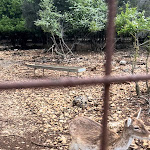 Photo n°11 de l'avis de Davide.i fait le 20/04/2024 à 19:10 sur le  El Merendero à Amelia