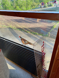 Photo n°4 de Lab71 à Dompierre-les-Ormes ()