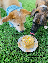 Camp Bow Wow - Photo 4 - Car repair in Columbia, MD, Columbia