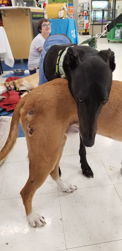 Pet Supply Store «Petco Animal Supplies», reviews and photos, 2277 Ford Pkwy, St Paul, MN 55116, USA