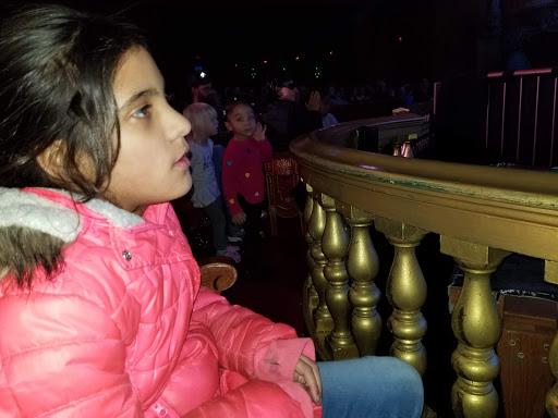 Pet Supply Store «Pet Supply Warehouse», reviews and photos, 5051 Forest Hills Ct, Loves Park, IL 61111, USA