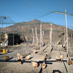 Photo n°8 de l'avis de Adriana.l fait le 10/01/2019 à 13:17 sur le  Agriturismo La Soldanella à Rosta