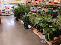 The Home Depot - Photo 3 - Car repair in Yakima, WA, Yakima