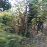 Photo n°15 de l'avis de Mousa.s fait le 07/11/2019 à 17:15 sur le  Ristorante Stazione Sassi à Turin