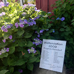 Photo n°3 de l'avis de Susanne.u fait le 19/07/2022 à 03:48 sur le  Zum Doppeldeckerwirt à Niederer Fläming