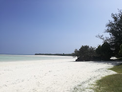 Pemba Beach'in fotoğrafı geniş ile birlikte
