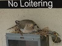 Franklin S Kam DC - Photo 7 - Car repair in Glendale, CA, Glendale