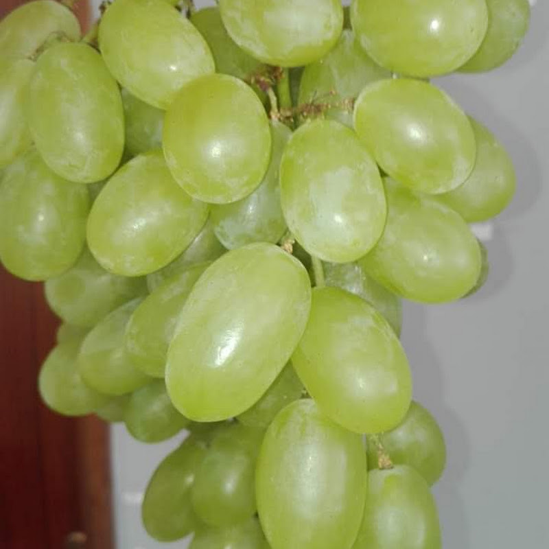 5 image