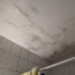 Photo n°8 de l'avis de Daniëlle.e fait le 24/05/2023 à 16:17 sur le  Hotel Rebe à Alzey