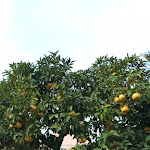 Photo n°6 de l'avis de Luca.d fait le 01/12/2023 à 20:47 sur le  Hotel Lodi à Rome