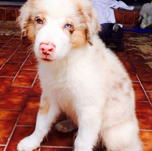 Explore acotar tattoo ideas, creative tattoo ideas in South Padre Island, available at Peggys Temporary & Permanent Tattoos