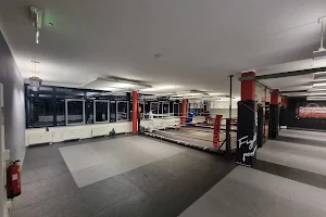 sysSport Coaching & Fighting Gym image