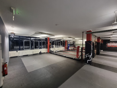 sysSport Coaching & Fighting Gym