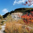 Schümel Naturschutzstiftung