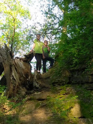 Hoyt Park - photo 14