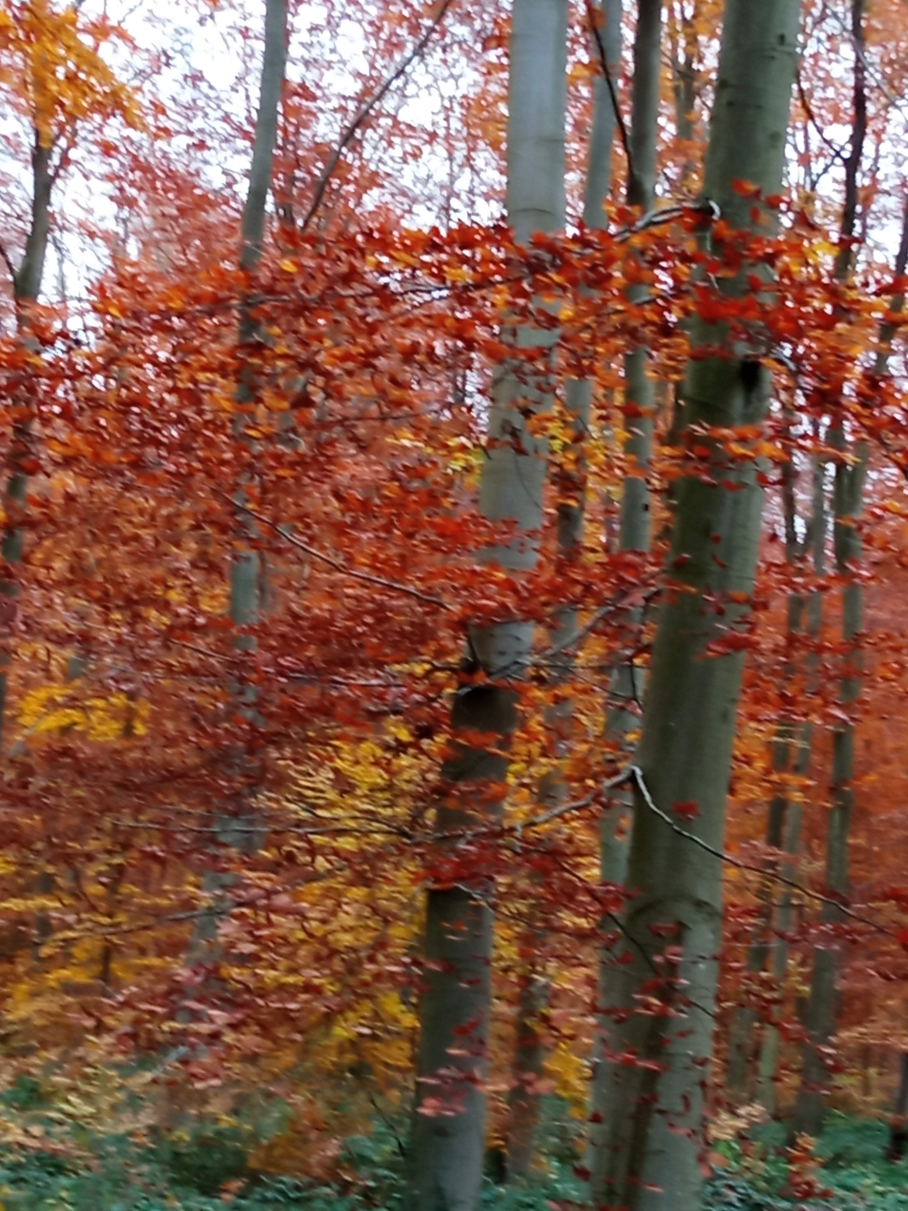 Photo n° 8 de l'avis de marieFrancois.y fait le 26/11/2021 à 20:19