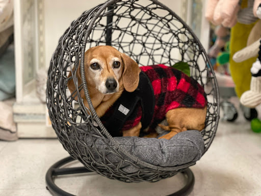 Department Store «Marshalls», reviews and photos, 65 Colma Blvd, Colma, CA 94014, USA