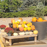 Earl May Garden Center - Photo 5 - Car repair in Omaha, NE, Omaha