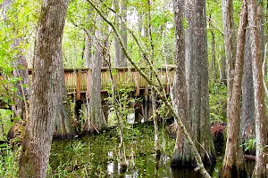 Everglades Day Safari - Fort Lauderdale image