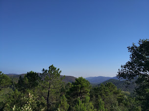 Photo n°6 de L’hacienda à Fréjus ()