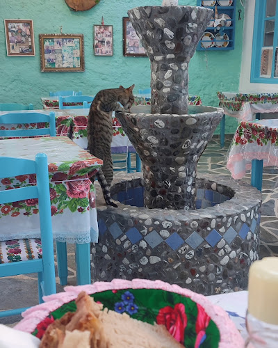 Διαφάνι - Κάρπαθος, Διαφάνι 857 00