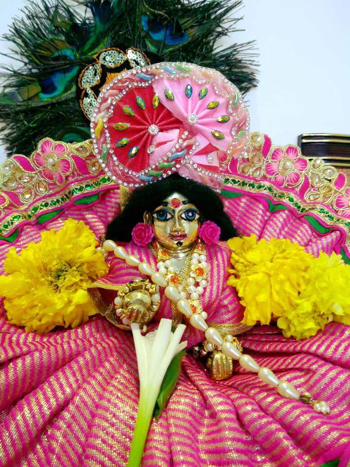 Krishna Caterer