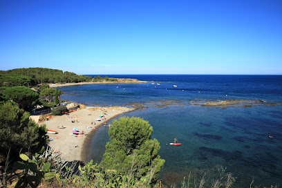 Descubre c&oacute;mo las llan&ccedil;as transforman nuestras playas