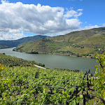 Photo n°1 de l'avis de Marc.o fait le 01/05/2024 à 02:49 sur le  São LUIZ by Chef Vitor de Oliveira à Ferrão