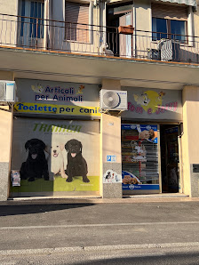 Tom E Jerry Via Giacomo Matteotti, 55, 21051 Arcisate VA, Italia