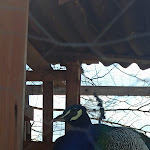 Photo n°3 de l'avis de Nando.u fait le 13/02/2022 à 19:14 sur le  La Corte Della regina à Ramacca