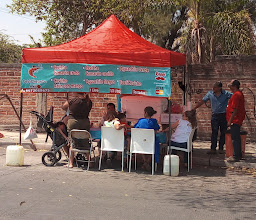 Camarones el cuñado photo