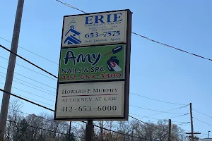 Amy Nails & Spa image