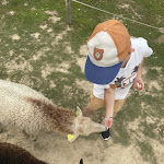 Photo n° 2 de l'avis de Tiffany.r fait le 29/08/2023 à 14:16 pour Parc animalier et botanique & Parcabout de Branféré à Le Guerno