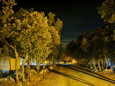 L'Éouvière Verte à Artignosc-sur-Verdon