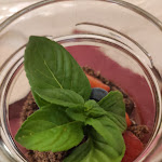 Photo n°32 de l'avis de giuseppe.r fait le 23/06/2021 à 21:12 sur le  Ristorante Le vigne e i falò di Massucco Gabriella à Castagnito