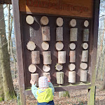 Photo n°5 de l'avis de Torsten.r fait le 31/03/2024 à 14:54 sur le  Panorama Ferien Hotel Harz à Güntersberge