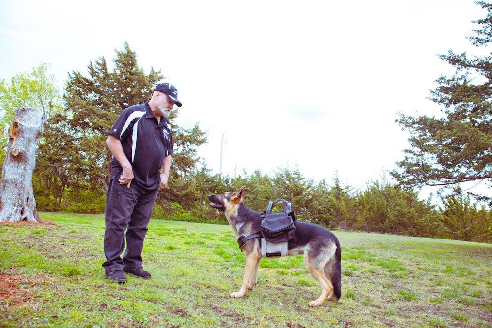 Sarge's Dog Training & Rehabilitation