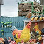 Photo n°3 de l'avis de Karola.r fait le 11/03/2023 à 09:00 sur le  Kells Restaurant à Klink